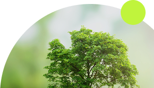 Sustainability
